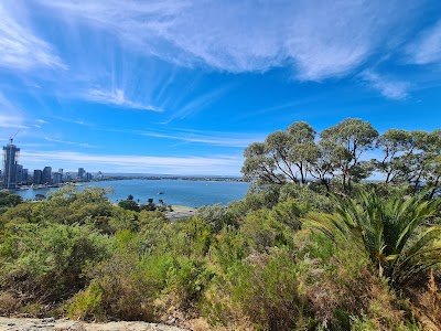 Foto de Kings Park