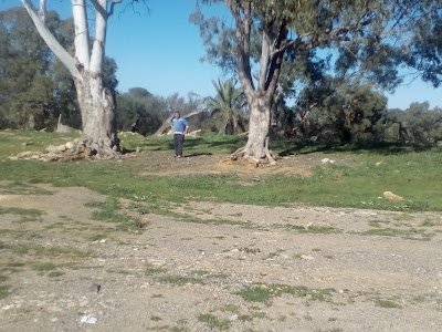 Foto de Zeralda Forest