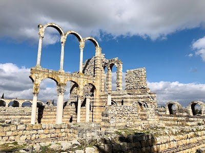 Foto de Umayyad City Ruins