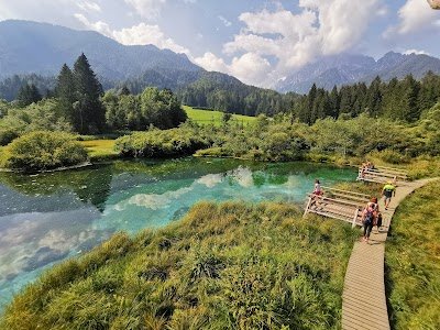 Foto de Zelenci