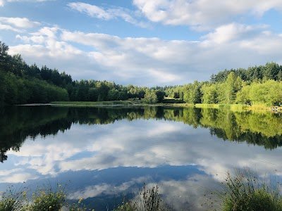 Foto de Green Timbers Urban Forest Park