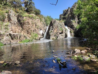 Foto de Laguna de los patos