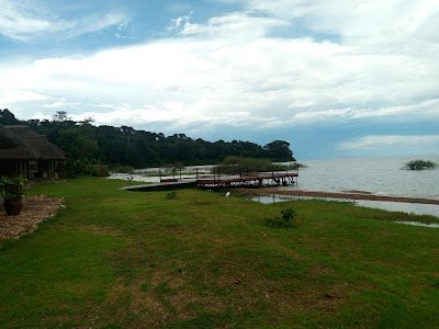 Foto de Ngamba Island Chimpanzee sanctuary