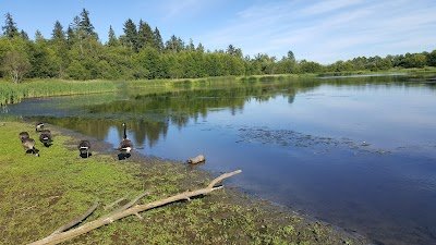 Foto de Surrey Lake Park