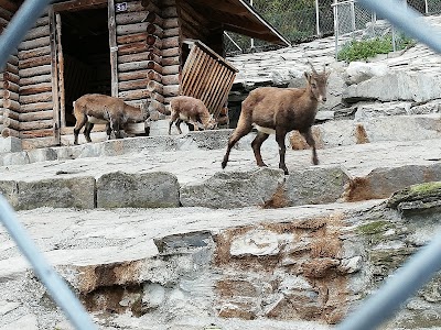 Wikitravel
