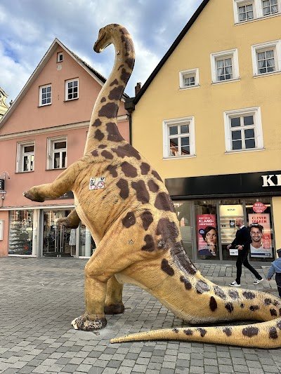 Foto de Urwelt-Museum Oberfranken