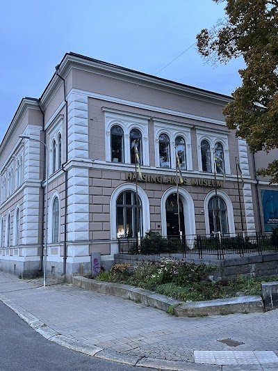 Foto de Hälsingland Museum