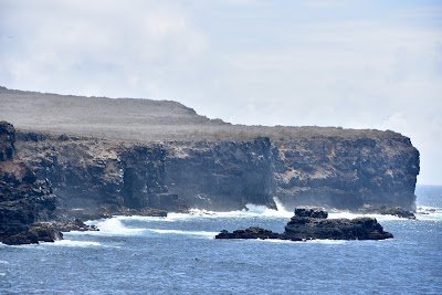 Foto de Punta Suarez