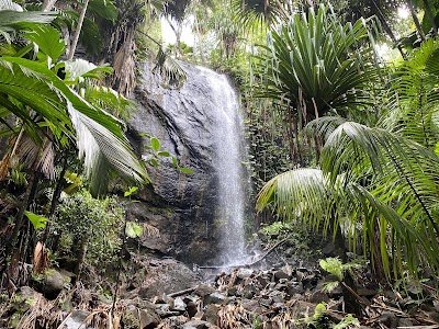 Foto de Praslin National Park Waterfall