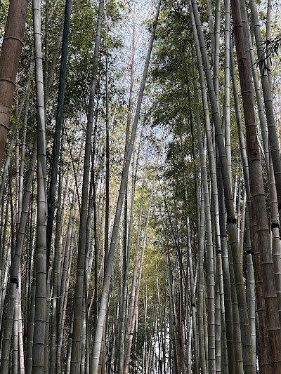 Foto de Parque Dendrológico