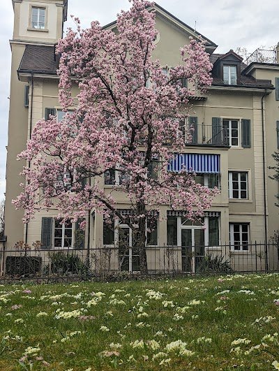 Foto de stattHotel - Hotel Zürich