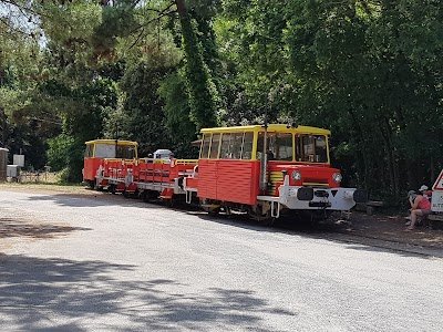 Foto de Petit Train Touristique PGVS (Pointe Grave Le Verdon Soulac)