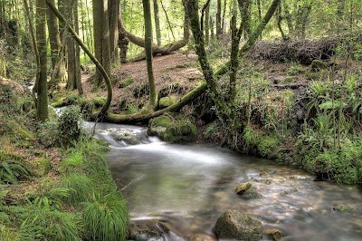 Foto de Rio De La Fraga