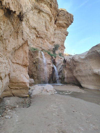 Foto de Tamaghza Oasis