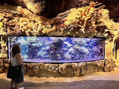 Foto de Skansen Aquarium