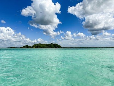 Foto de Isla de los Pájaros