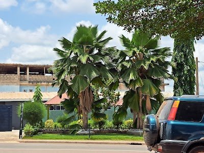Foto de Hôtel Djandji