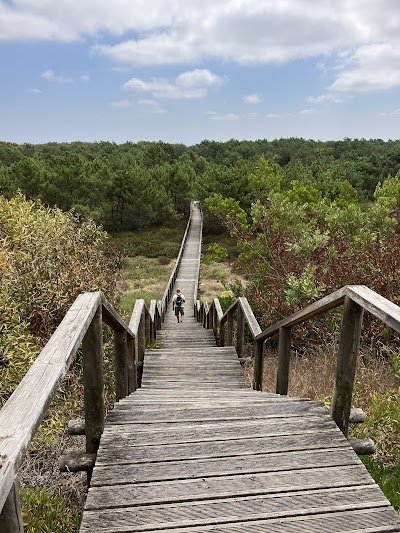 Foto de Reserva Natural das Dunas de São Jacinto