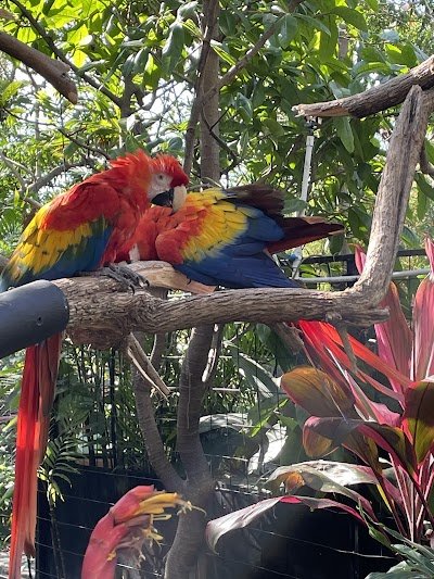 Foto de Refugio Animal de Costa Rica