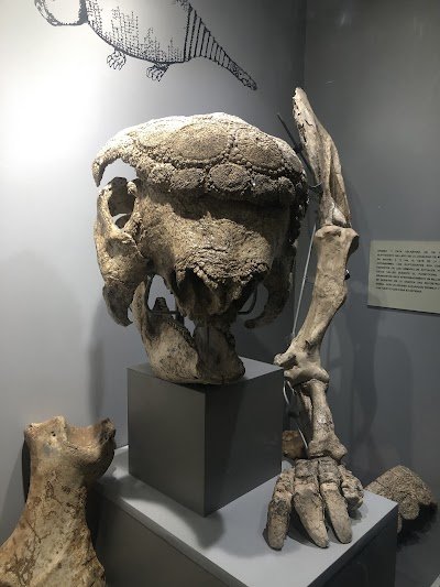Foto de Natural History Museum Alcide d Orbigny