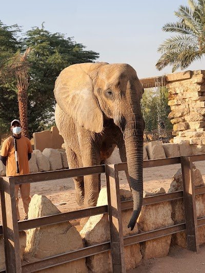 Foto de Riyadh Zoo