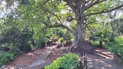 Foto de Mirador Ita o Areguá