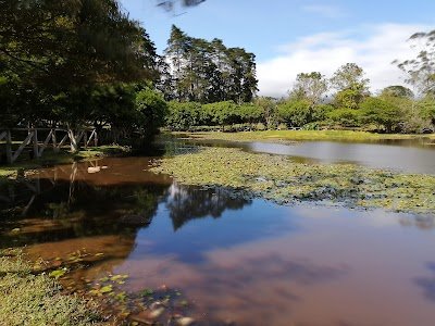 Foto de La Expresión Laguna de Doña Ana Recreation Park