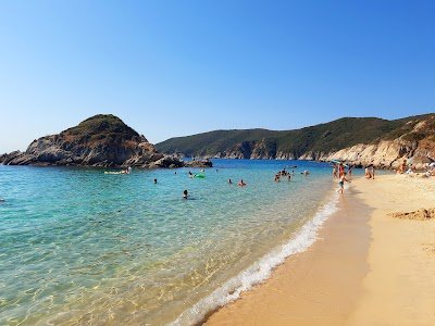 Foto de Kalamitsi Beach