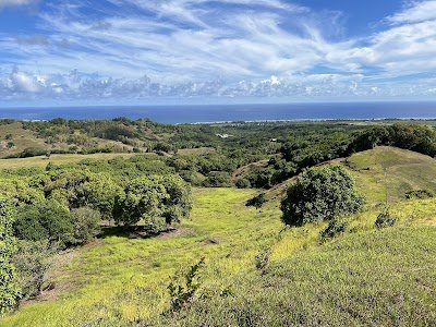 Foto de Bel Ombre Nature Reserve