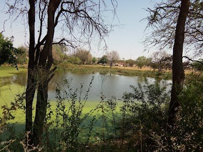 Foto de Tsholofelo Park Park 27