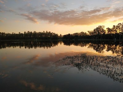 Foto de Guasu Metropolitan Park