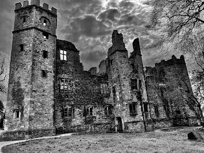 Foto de Mallow Castle(Caisleán Mala)