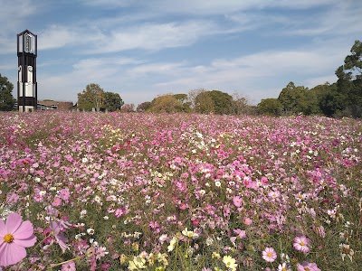 Foto de Kumamoto City Zoo and Botanical Garden