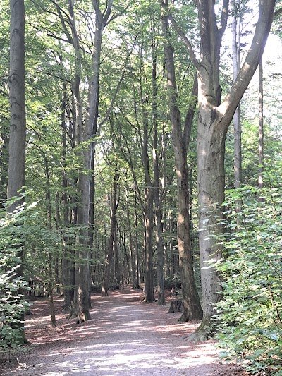 Foto de Ronsdorfer Anlagen