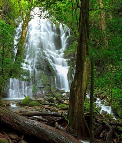 Foto de Parque Nacional Rincón de la Vieja