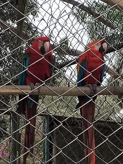 Foto de Ica Zoo