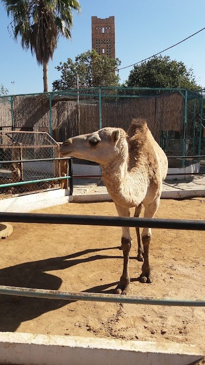 Foto de Zoo Hadj Aissa