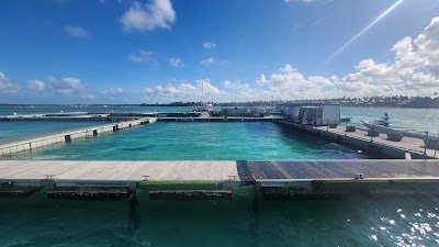 Foto de Dolphin Island Park - Dolphin Enclosure