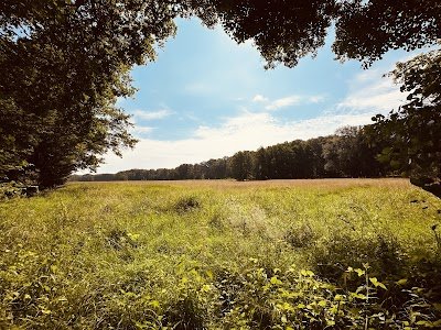 Foto de Luderbachaue von Dreieich