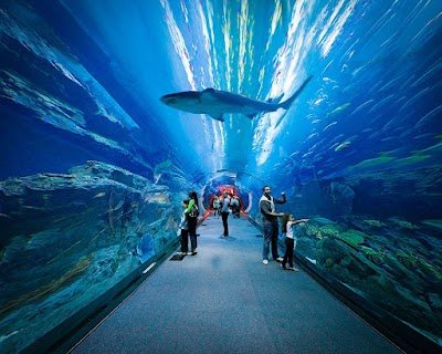 Foto de Dubai Aquarium e Underwater Zoo