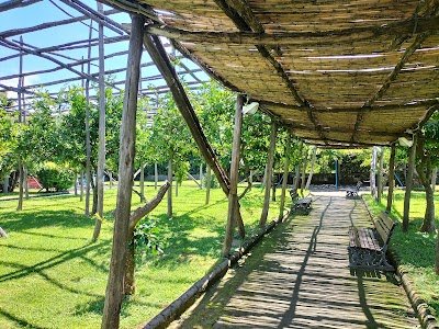 Foto de Parco Giochi Don Luigi Verde