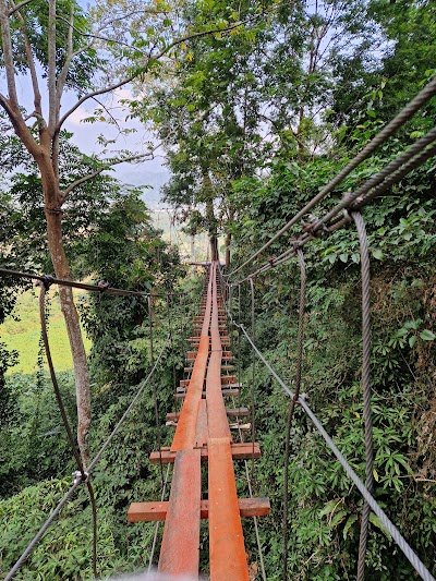 Foto de TCK Zipline