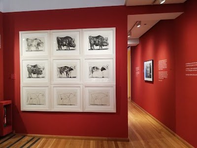Foto de Museo Casa Natal de Picasso