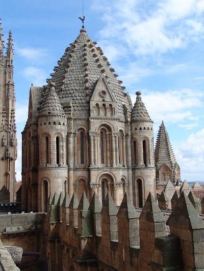 Foto de Catedral Vieja de Santa María de la Sede de Salamanca