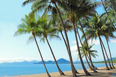 Foto de Palm Cove Beach