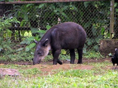 Foto de La Marina Wildlife Rescue Center