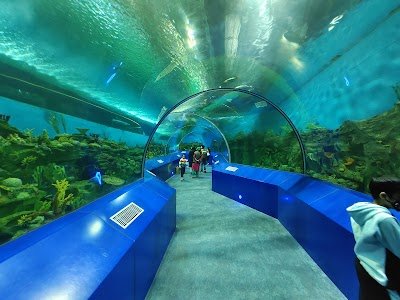 Foto de Science City Ahmedabad