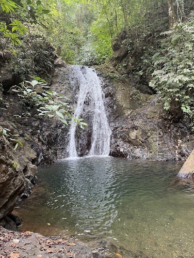 Foto de GO WILD Adventures - Hiking - Waterfalls e Monkeys