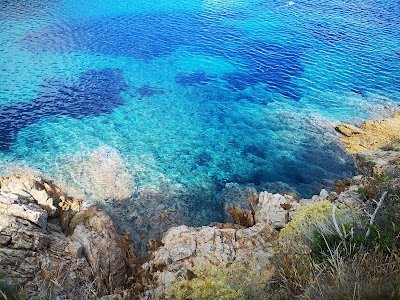 Foto de Parco Nazionale dell Arcipelago Toscano