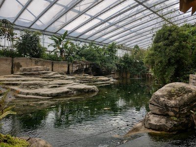 Foto de Vlindertempel
